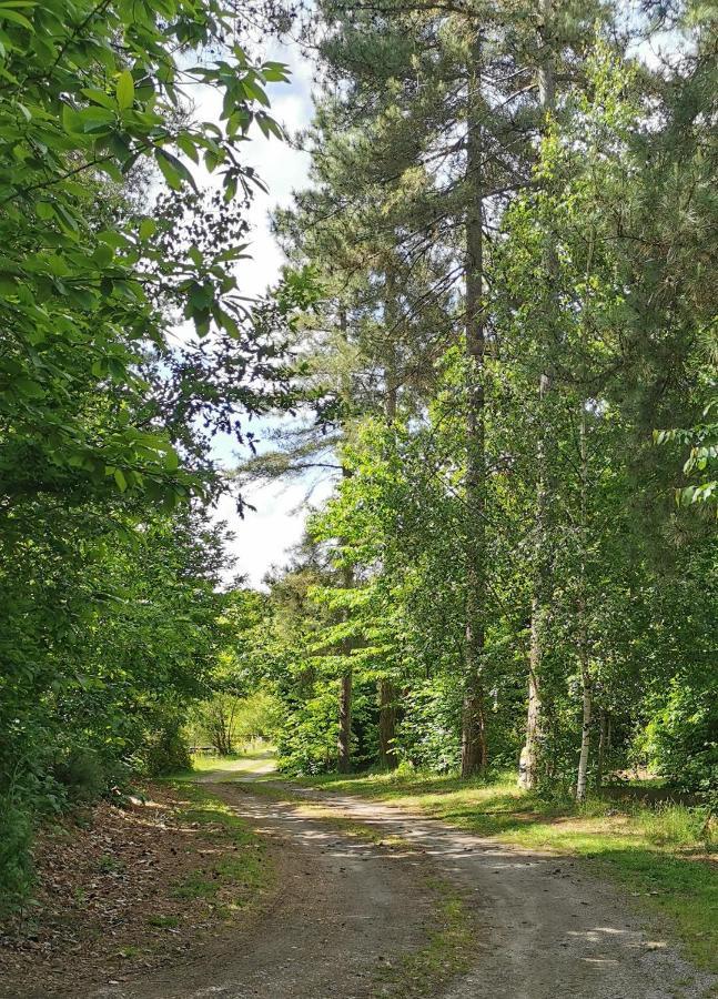 Camping De La Chagnee Saint-Aubin-le-Cloud Exterior foto